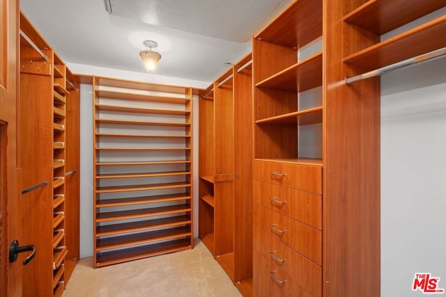 walk in closet featuring light colored carpet