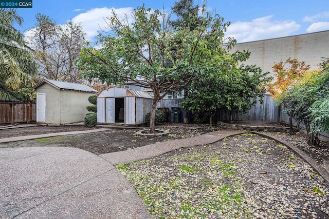 view of yard featuring a storage unit