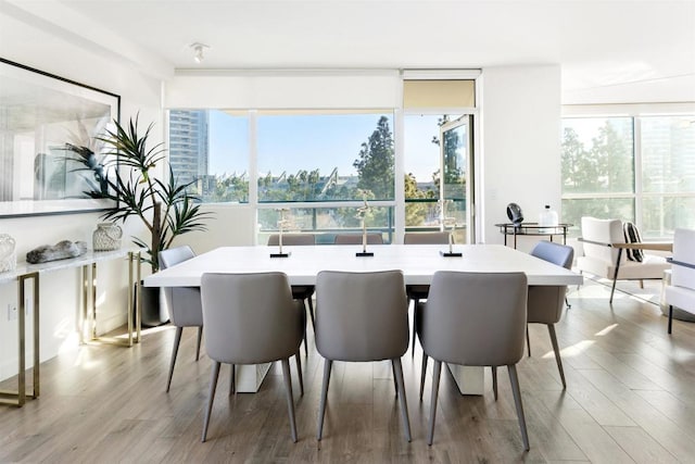 dining area featuring light hardwood / wood-style floors and plenty of natural light