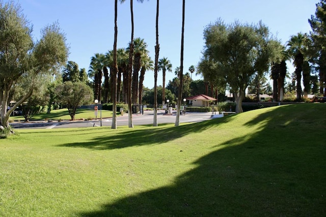 view of property's community with a yard