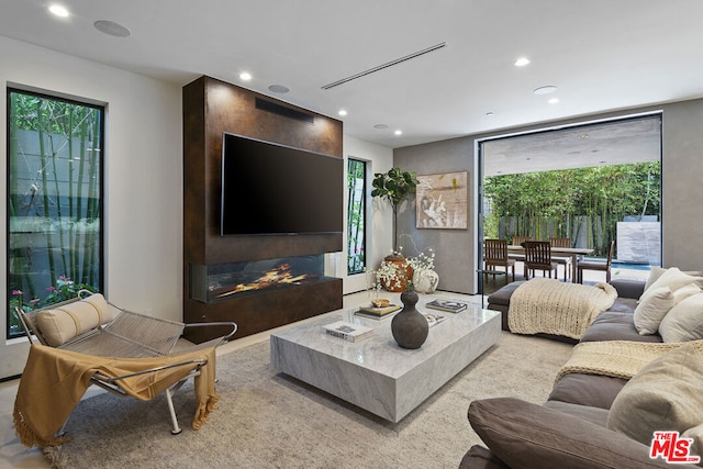 living room with a fireplace