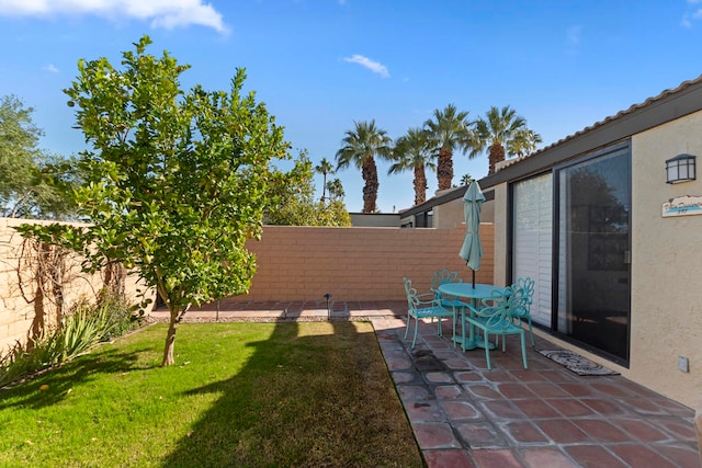 view of yard featuring a patio