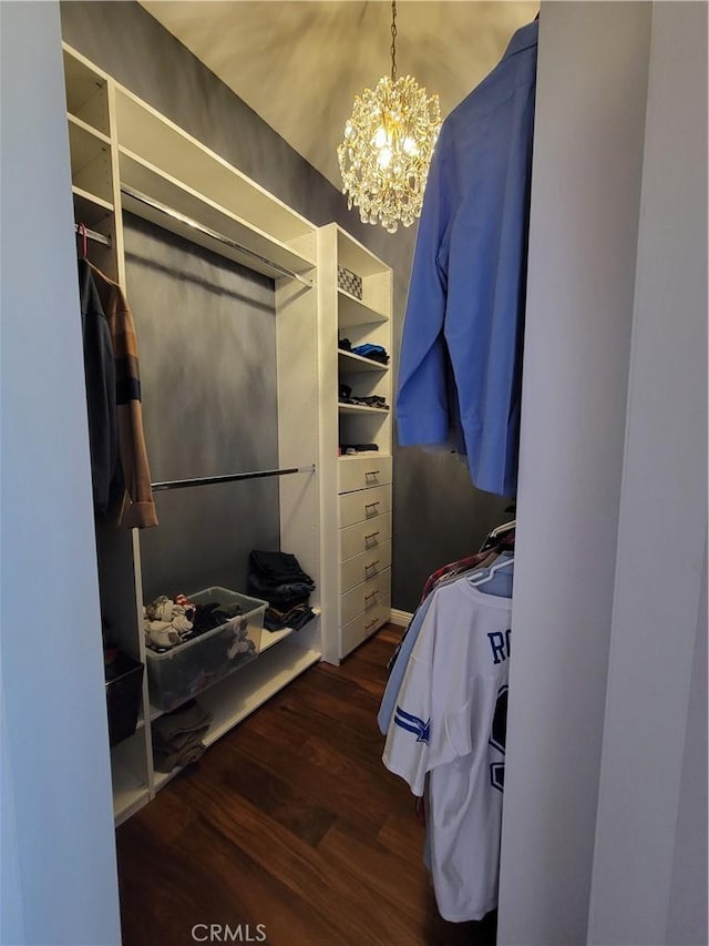 spacious closet featuring dark hardwood / wood-style flooring and a notable chandelier