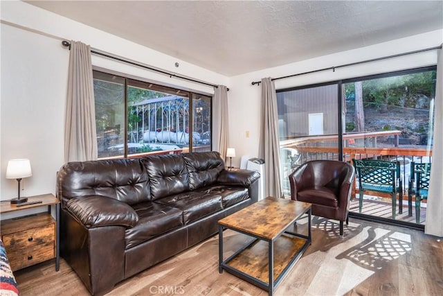 7540 Henness Cir Unit B101, Yosemite, CA 95389 - living room featuring wood finished floors and plenty of natural light