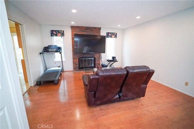 living room featuring a fireplace and light hardwood / wood-style floors