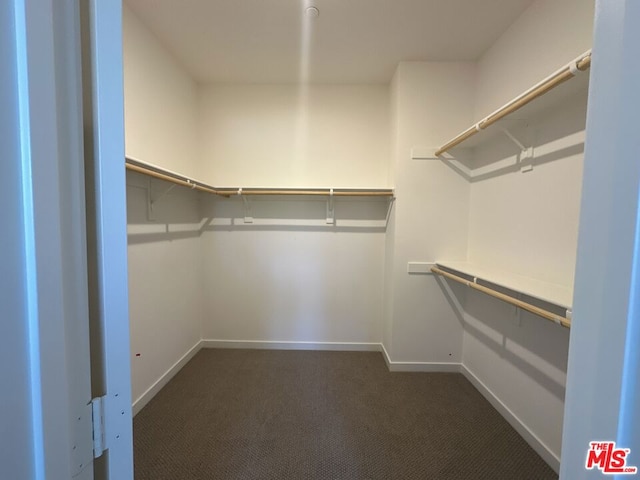 walk in closet with dark carpet