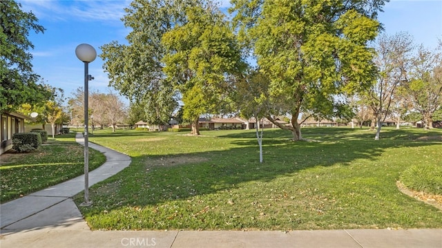 view of community featuring a lawn