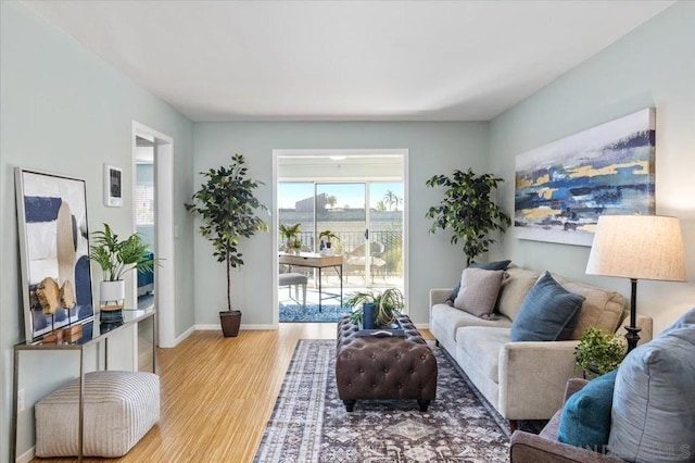 living room featuring hardwood / wood-style flooring