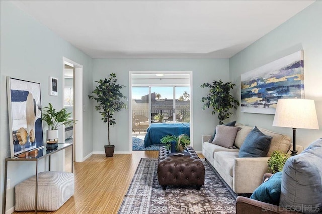 living room featuring light hardwood / wood-style floors