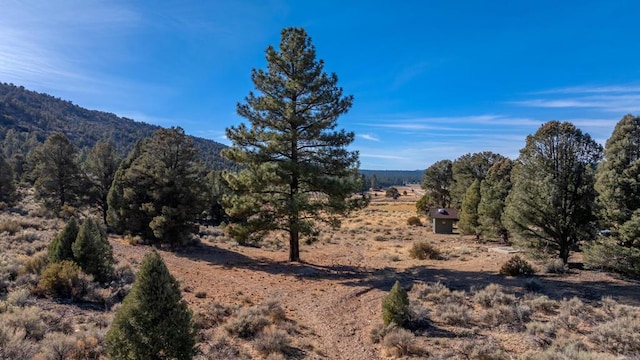 3700 State Ln, Big Bear CA, 92314 land for sale