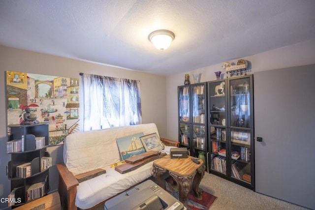 sitting room featuring a textured ceiling and carpet floors