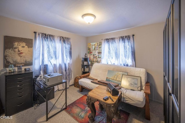 sitting room with carpet