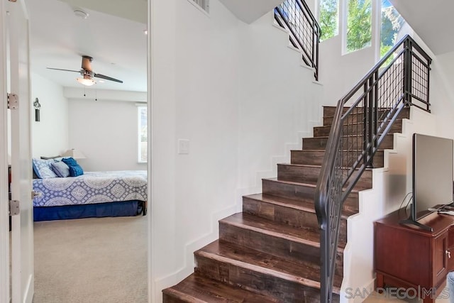 staircase featuring carpet and ceiling fan