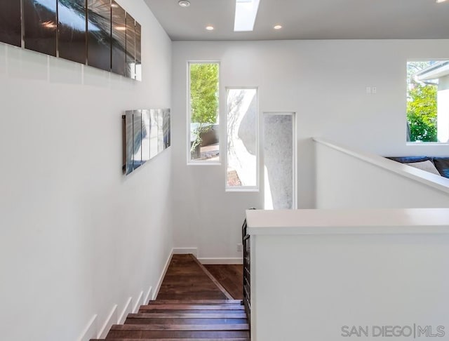 stairs featuring a skylight and hardwood / wood-style floors