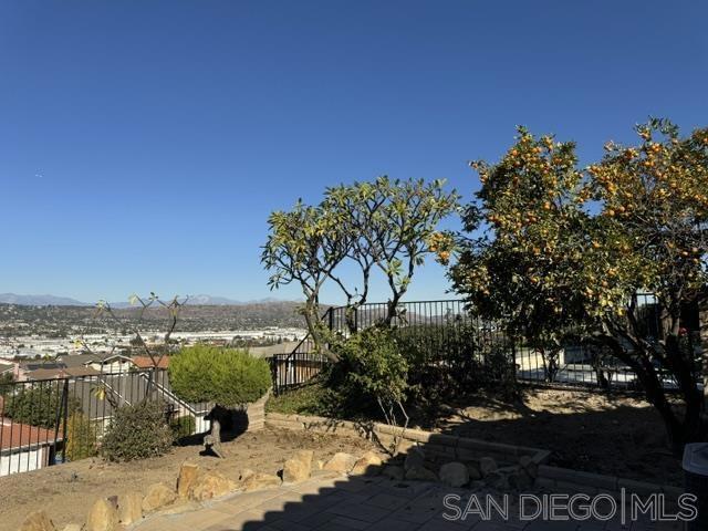 view of yard featuring a mountain view