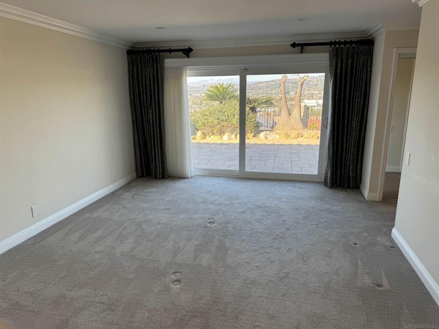 spare room featuring carpet and ornamental molding