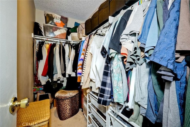 walk in closet with carpet floors