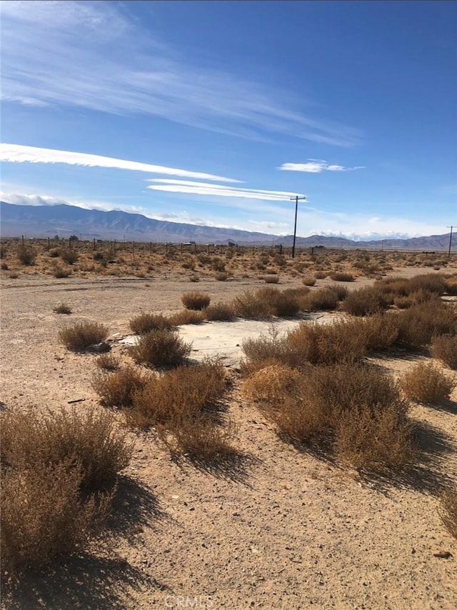 0 Squaw Bush Rd, Lucerne Valley, CA 92356 - photo 5