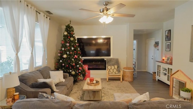 living room featuring ceiling fan and wood-type flooring