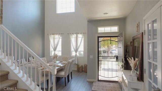 entryway with hardwood / wood-style floors, plenty of natural light, and a high ceiling