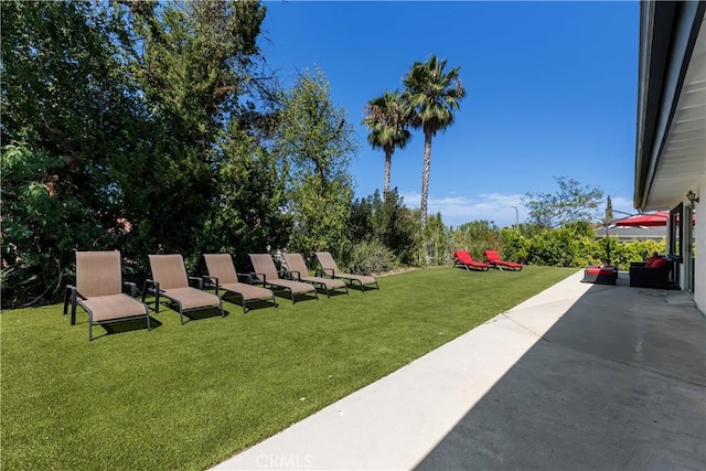 view of yard with a patio