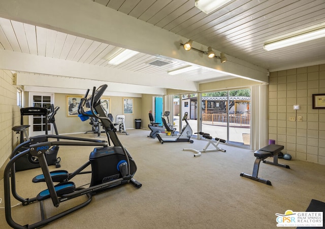 workout area with carpet flooring