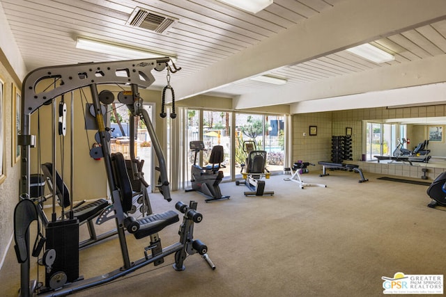 exercise room featuring carpet flooring