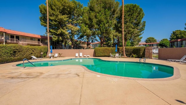 view of swimming pool featuring a patio