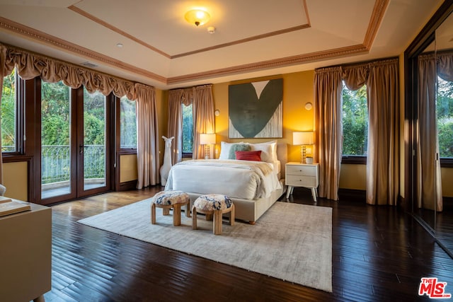 bedroom with dark wood-type flooring, access to exterior, multiple windows, and a raised ceiling