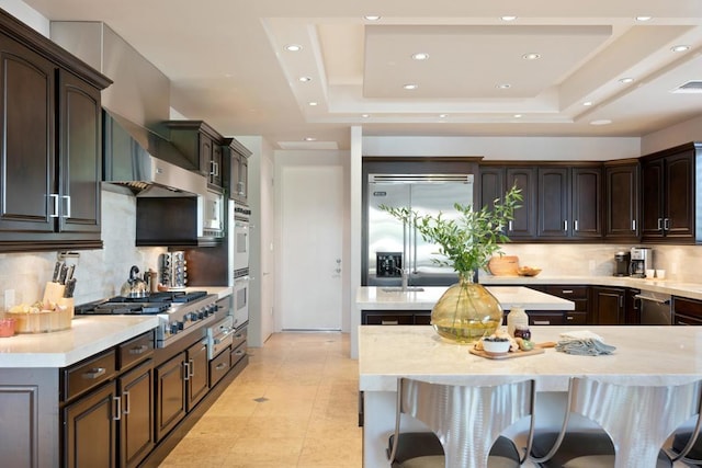 kitchen featuring decorative backsplash, dark brown cabinets, stainless steel appliances, and a raised ceiling