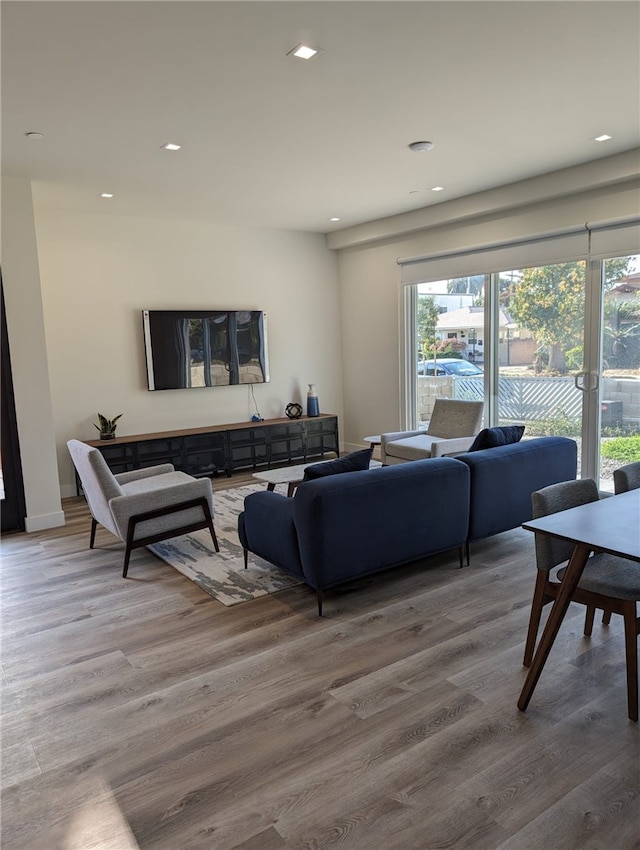 living room with hardwood / wood-style floors