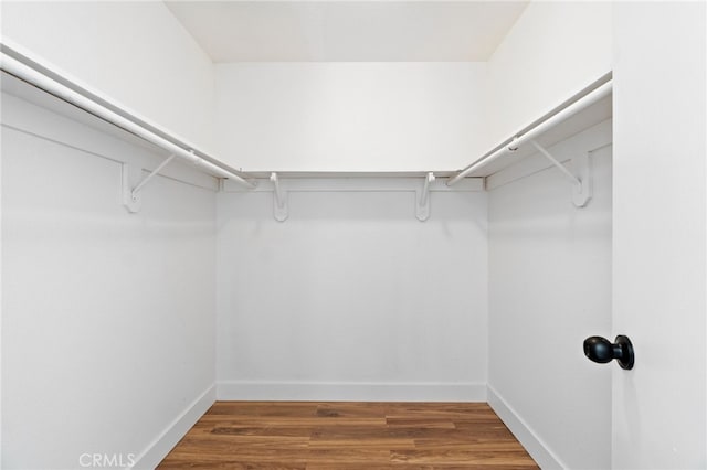 walk in closet featuring dark hardwood / wood-style floors