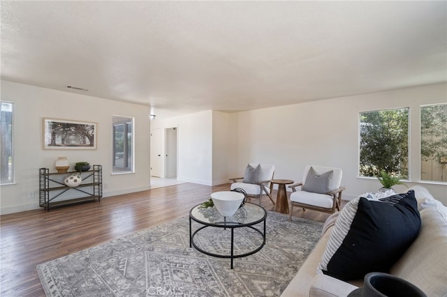 living room featuring wood-type flooring