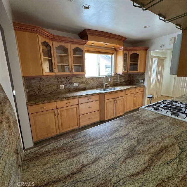 kitchen featuring backsplash and sink