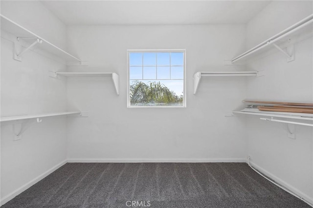 walk in closet featuring dark carpet