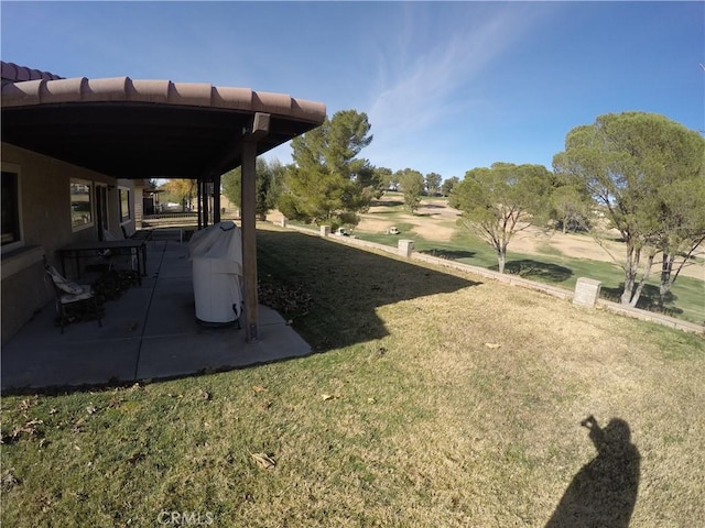 view of yard featuring a patio