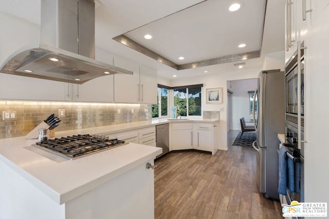 kitchen with white cabinetry, stainless steel appliances, a raised ceiling, wood-type flooring, and island range hood