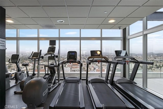 workout area featuring a paneled ceiling and a wall of windows