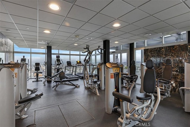 exercise room featuring a paneled ceiling, a healthy amount of sunlight, and a wall of windows