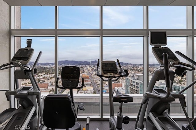 workout area featuring a healthy amount of sunlight