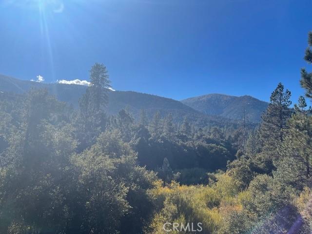 2325 Woodland Dr, Pine Mountain Club, CA 93222 - photo 9