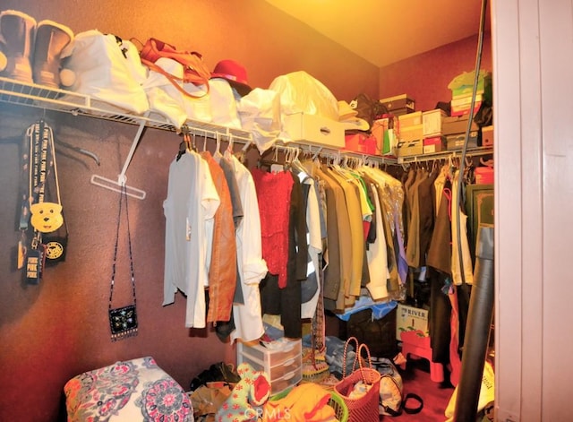 view of spacious closet