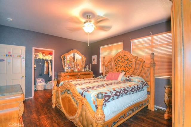 bedroom with a closet, a walk in closet, dark hardwood / wood-style floors, and ceiling fan