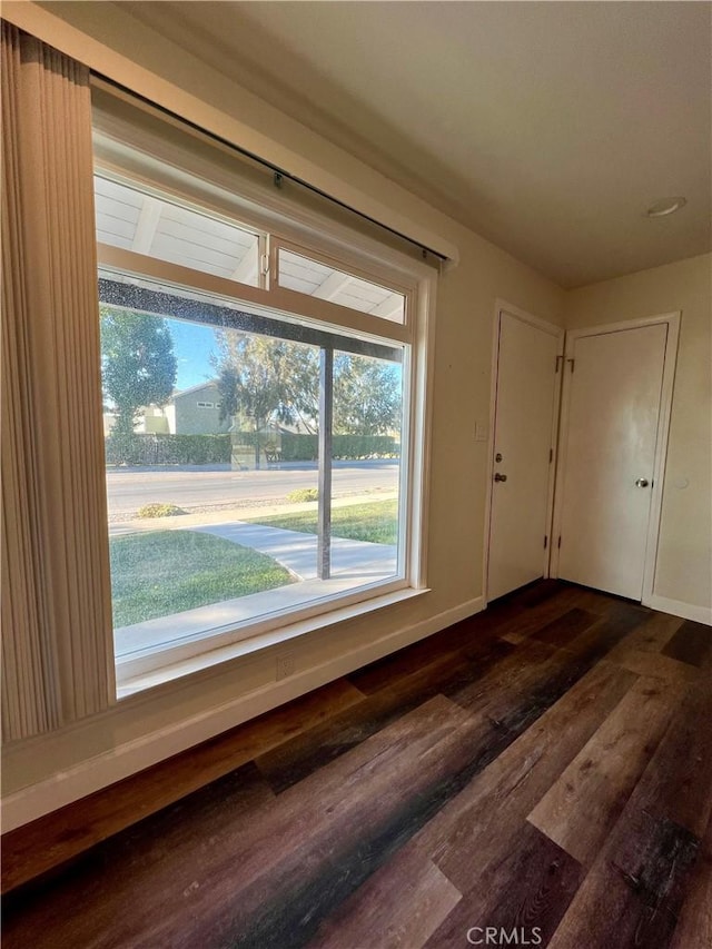 interior space with dark hardwood / wood-style floors