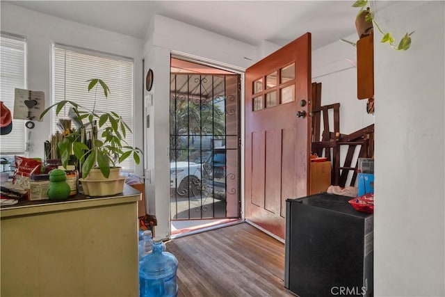 entryway with hardwood / wood-style floors