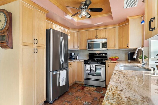 kitchen featuring a tray ceiling, light stone counters, sink, and stainless steel appliances