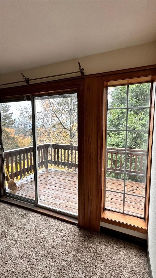 doorway with carpet flooring