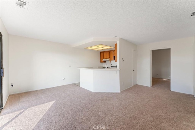 unfurnished living room featuring a textured ceiling, sink, and light carpet