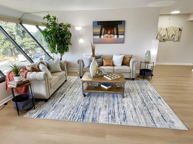 living room with wood-type flooring