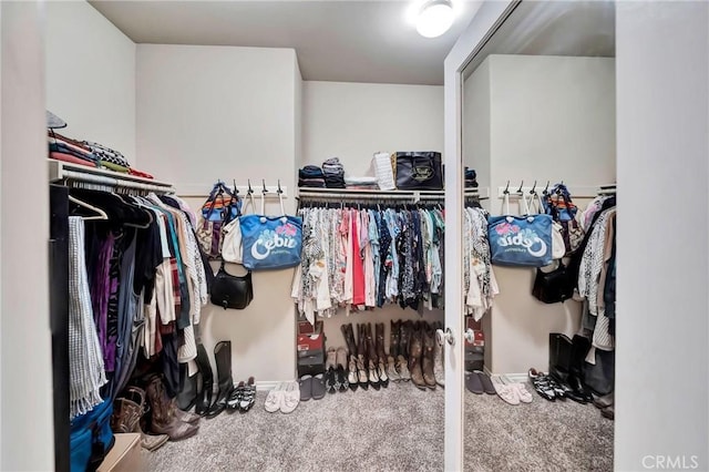 walk in closet featuring carpet